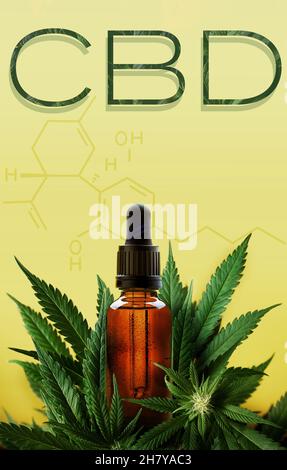 CBD in Text und Cannabidol-Formel mit Flasche und Marihuanapflanze mit Platz für Text Stockfoto