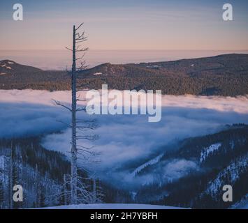 Blick auf die Hügel, die mit Wolken bedeckt sind, Wolken, die zwischen den Hügeln im nationalen Wald von Mount Hood angesiedelt Stockfoto