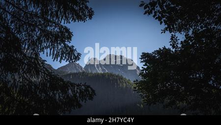 Blick auf schneebedeckte felsige Berggipfel und bewaldete Hügel inmitten der Bäume Stockfoto
