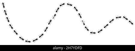 Ameisen-Pfad mit Positionssymbolen. Route oder Pfad auf weißem Hintergrund isoliert. Vektorgrafik Stock Vektor