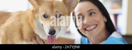 Lächelnde Tierärztin führt Untersuchung des Hundes Stockfoto