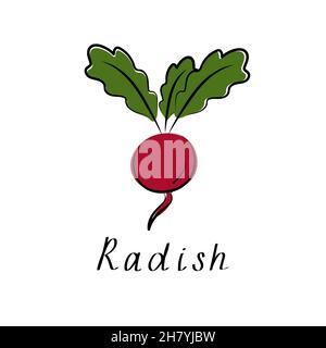 Radieschen flaches Design-Symbol isoliert auf weißem Hintergrund Stock Vektor