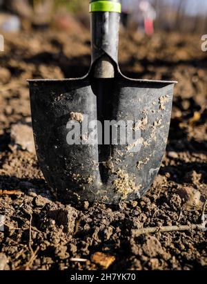 Bild mit geringer Schärfentiefe (selektiver Fokus) mit einer Metallschaufel auf einem Stück Ackerland. Stockfoto