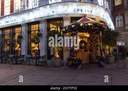 Das Restaurant Ivy, York, Großbritannien, mit Weihnachtsdekorationen Stockfoto