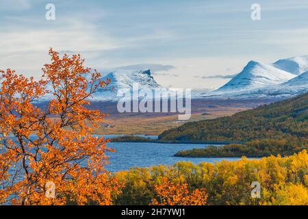 Herbstansicht über Laporten, Tjuonavagge, bunte Birken, Schnee auf dem Berg, See Torneträsk in der Mitte, aufgenommen von Björkliden, schwedischer Lapla Stockfoto