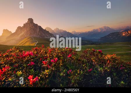 Sonnenuntergang im Sommer am Passo di Giau mit Blumen im Vordergrund, Dolomiten, Italien Stockfoto