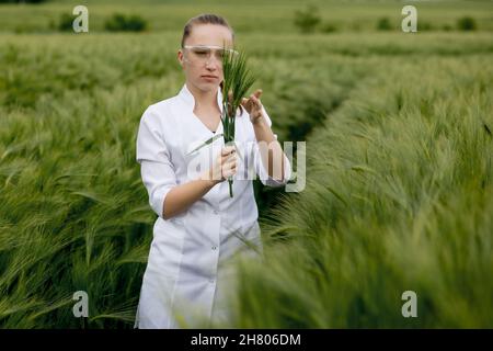 Ökologe in einem weißen Mantel und einer Brille, die Pflanzen untersucht. Stockfoto