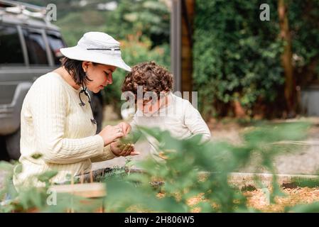 Mutter Pflanzen Samen in Kunststoff-Sämling Tablett auf Gartenbett in der Farm mit entzückenden Sohn Stockfoto