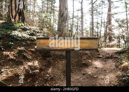 Holzschild auf dem Weg in einem mystischen Wald. Stockfoto