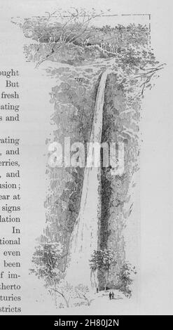 Die Dangar Falls. Australien 1890 alte antike vintage Bild drucken Stockfoto