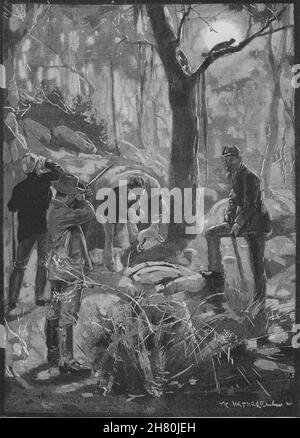 Opossum schießen. Australien 1890 alte antike vintage Bild drucken Stockfoto