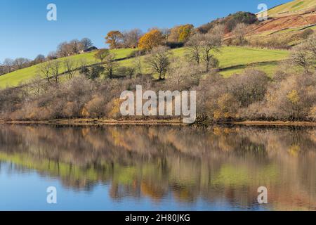 Herbstreflexionen am Lake Semerwater im Yorkshire Dales National Park, Großbritannien. Stockfoto