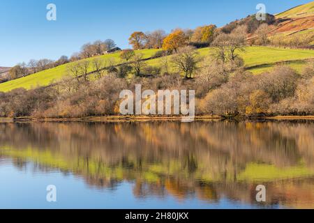 Herbstreflexionen am Lake Semerwater im Yorkshire Dales National Park, Großbritannien. Stockfoto