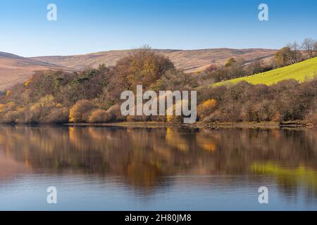 Herbstreflexionen am Lake Semerwater im Yorkshire Dales National Park, Großbritannien. Stockfoto