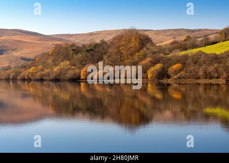 Herbstreflexionen am Lake Semerwater im Yorkshire Dales National Park, Großbritannien. Stockfoto