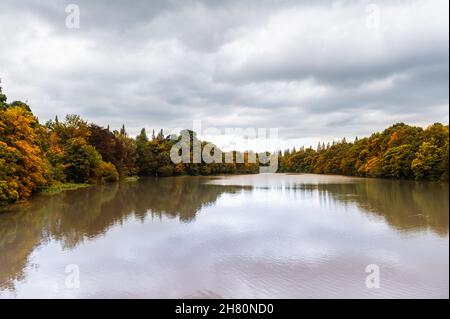 Lymm-Staudamm während der Herbstsaison Stockfoto