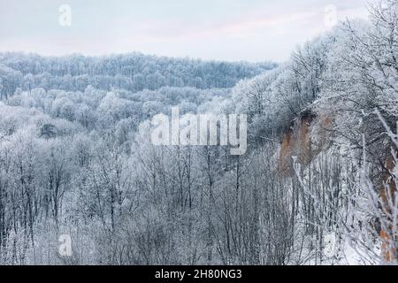 Jiesia State Landscape Reserve im Winter. Kaunas Stadt und Kaunas Bezirk. Stockfoto