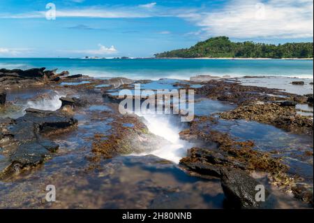 Korallen in Sawarna Beach, sukabumi. Stockfoto