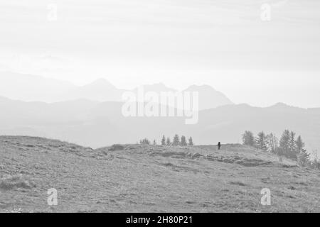 Graustufenaufnahme von Hügeln und Tälern in Bezau, Österreich Stockfoto