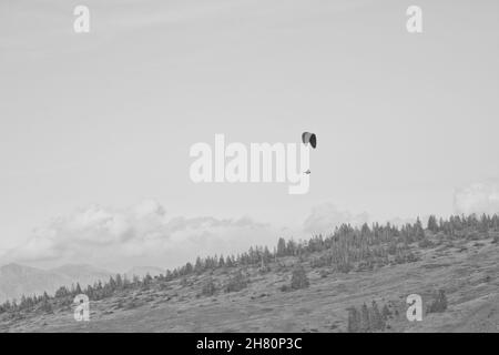 Graustufenaufnahme von Hügeln und Tälern in Bezau, Österreich Stockfoto