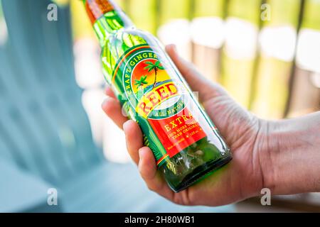 Sugar Mountain, USA - 31. Mai 2021: Nahaufnahme der Glasflasche mit Hand halten Reed's Craft Ginger Bierflasche Marke Zeichen alle natürlichen echten Ingwer Ale n Stockfoto