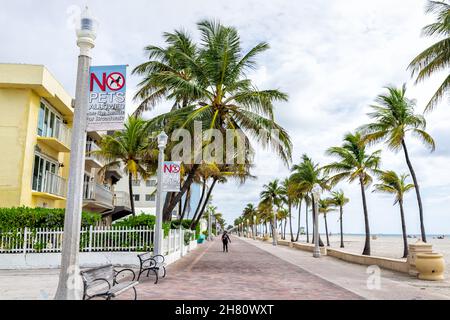 Hollywood, USA - 4. August 2021: Nördlich von Miami Beach, Hollywood Broadwalk Walkway in Florida und Schild für keine Haustiere erlaubt noch Skateboards und Palmen Stockfoto