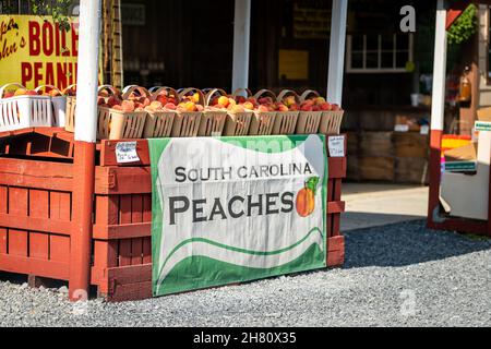 Roan Mountain, USA - 23. Juni 2021: Tennessee Mountain Town mit Obststand auf der US-19e 19e Straße im Sommer für South Carolina Peaches Davis Stockfoto