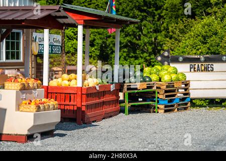 Roan Mountain, USA - 23. Juni 2021: Tennessee Mountain town with Fruit Stand on Highway US-19e Road in Summer for South Carolina Peaches Davis Girls P Stockfoto