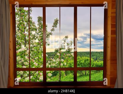 Blick durch das Holzfenster auf die Frühlingslandschaft mit blühenden Apfel- oder Kirschbäumen im Frühlingsgarten. Blühender Apfelbaum Ast unter natürlichem Holz Stockfoto