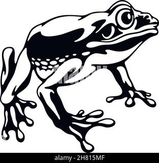 Frosch - Amphibien der Wildnis. Schablone für Wildtiere. Haustier und tropisches Tier. Vektorschablone. Stock Vektor
