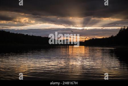 Eine Sonnenuntergangsszene auf einem Waldsee mit Sonnenstrahlen, die durch dunkle Wolken brechen Stockfoto
