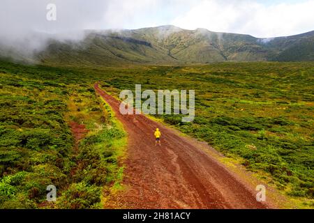 Junge steht auf einer Bergstraße mit Farnlandschaft im nördlichen Teil von Flores, azoren, Portugal Stockfoto