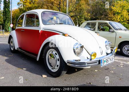 Bukarest, Rumänien, 24. Oktober 2021: Ein lebendiger rot-weißer Volkswagen Beetle deutscher Oldtimer im Verkehr auf einer Straße bei einer Veranstaltung für Oldtimer Stockfoto