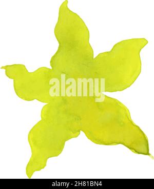 Seesterne im flachen Stil. Marine-Ikone im Cartoon-Stil. Vektorgrafik für den Sommer Stock Vektor