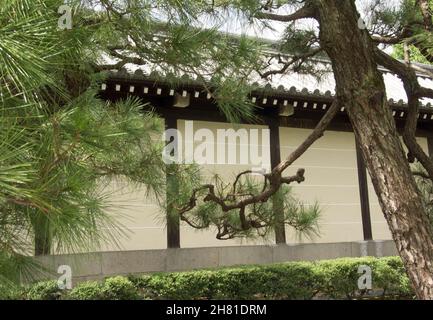 (東本願寺), oder ″das östliche Kloster des ursprünglichen Gelübdes″, ist eine von zwei dominierenden Untersekten des Shin-Buddhismus in Japan. Stockfoto