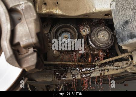 Eine Nahaufnahme der zerlegten Generator-Baugruppe für Pkw und ein Frostschutzmittel für den Ablass vor dem Einbau einer neuen Wasserpumpe Stockfoto