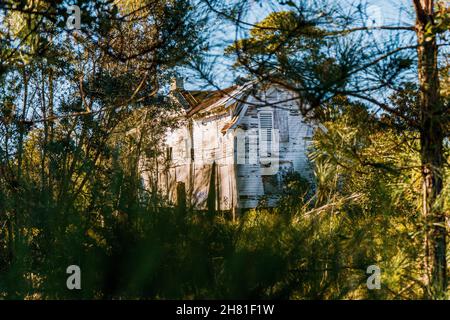 Altes Haus versteckt im Wald Stockfoto