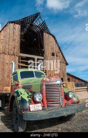 Antiker LKW voller Heu und Kürbisse im Zentrum von Oregon Stockfoto