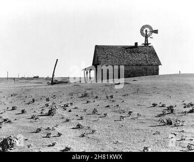 Dorothea lange Foto - Dust Bowl Farm. Coldwater District, nördlich von Dalhart, Texas. Stockfoto