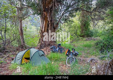 Tourenradler wild camping mit Kuppelzelt im Topanga State Park in den Santa Monica Mountains, Los Angeles County, Kalifornien, USA / USA Stockfoto
