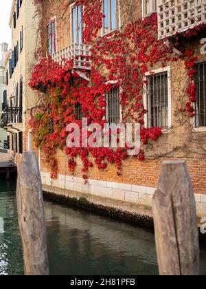 Fassade eines alten Hauses in Venedig, Wein mit roten Blättern, bewölktem Herbsttag Stockfoto