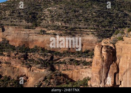 Colorado National Monument in der Nähe von Grand Junction Colorado. Ein Gebiet mit Wüstenland hoch auf dem Colorado Plateau. Stockfoto