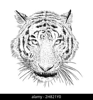 Handgezeichneter Vektor schwarz-weiß künstlerisches Porträt des Tigers Kopf isoliert auf weißem Hintergrund. Wildkatzen-Illustration. Tintenzeichnung Stock Vektor
