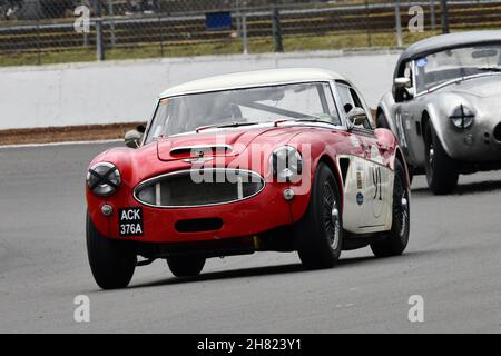 Mark Holme, Austin Healey 3000, Royal Automobile Club Historic Tourist Trophy, Pre-1963 GT, die Tourist Trophy ist die am längsten etablierte Trophäe in der Geschichte Stockfoto