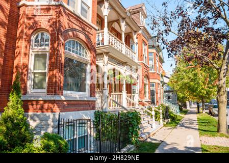 Traditional red brick residential buildings with stairs leading up to the front door along a tree lined street in a city centre on a sunny clear Stockfoto