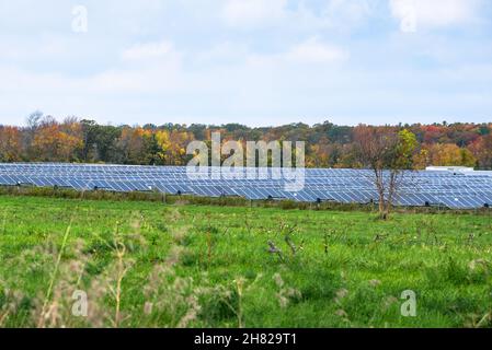 Reihen von Sonnenkollektoren auf einem Feld mit Bäumen im Hintergrund an einem bewölkten Herbsttag Stockfoto