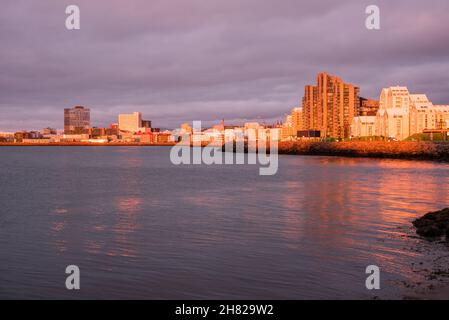 Blick auf die Skyline von Reykjavik im Sommer bei hellem Licht Stockfoto