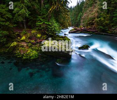 Skokomish River in der Nähe des Lake Cushman im Bundesstaat Washington Stockfoto
