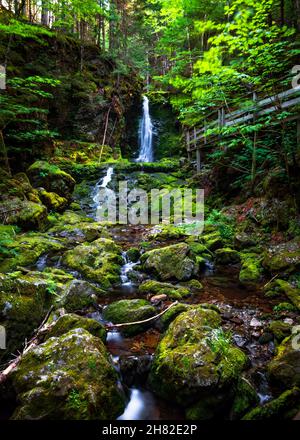 Dickson Falls im Fundy National Park in Kanada Stockfoto