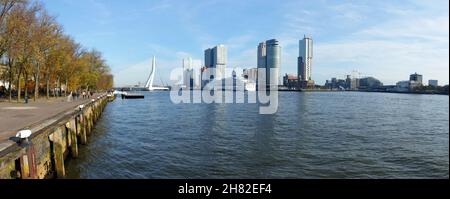 Skyline von Rotterdam in der Nähe von Kop van Zuid Stockfoto